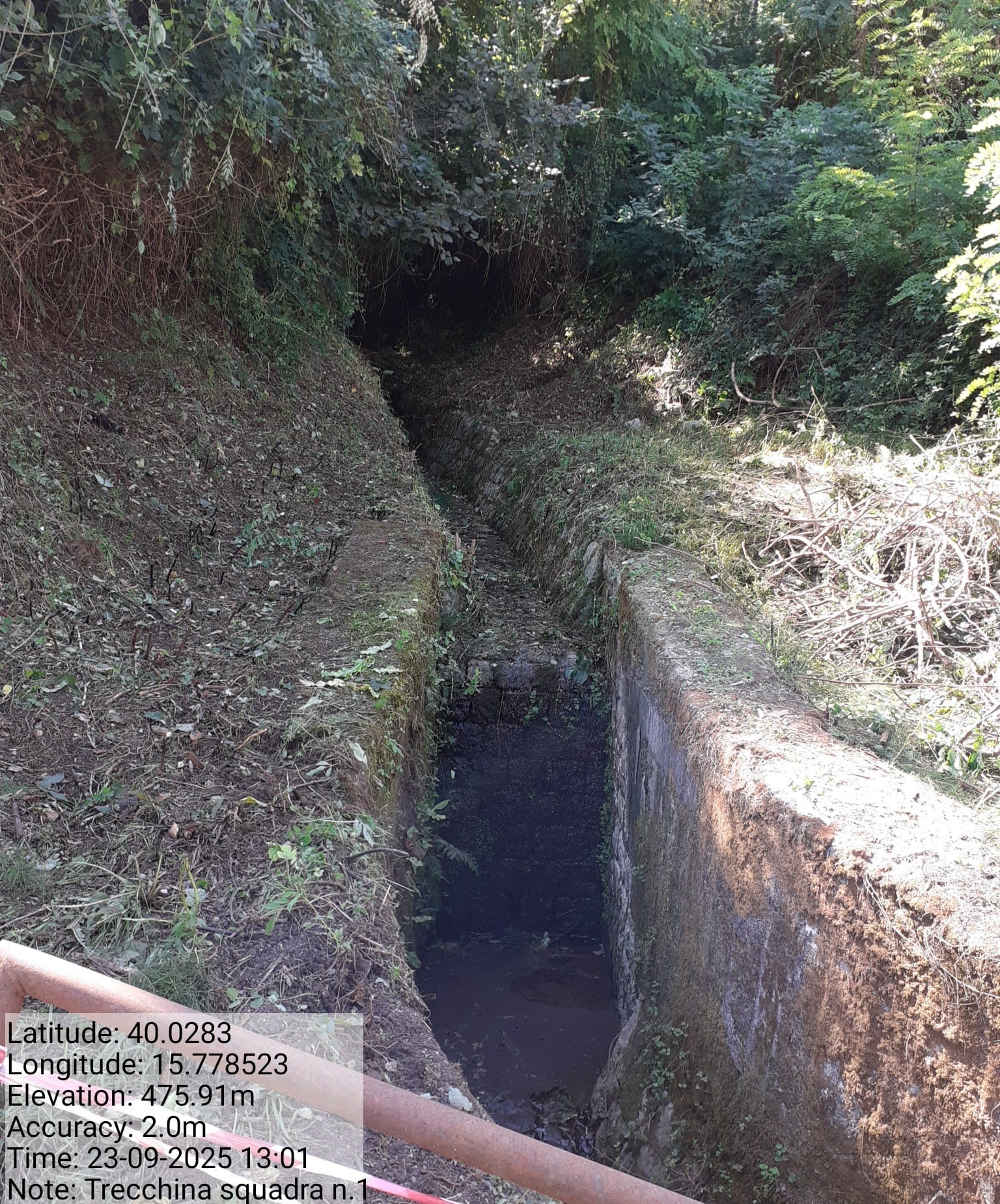 Galleria Fotografica Immagine