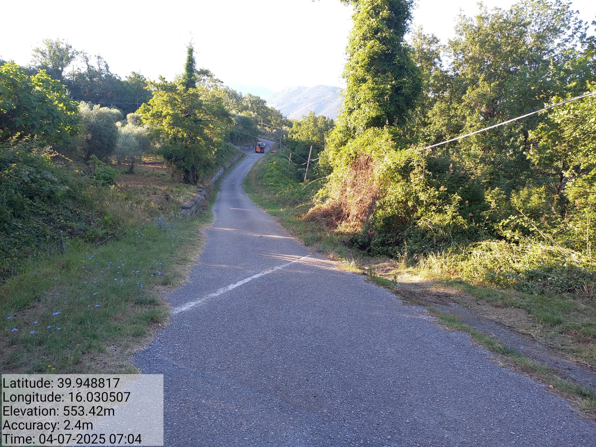 Galleria Fotografica Immagine