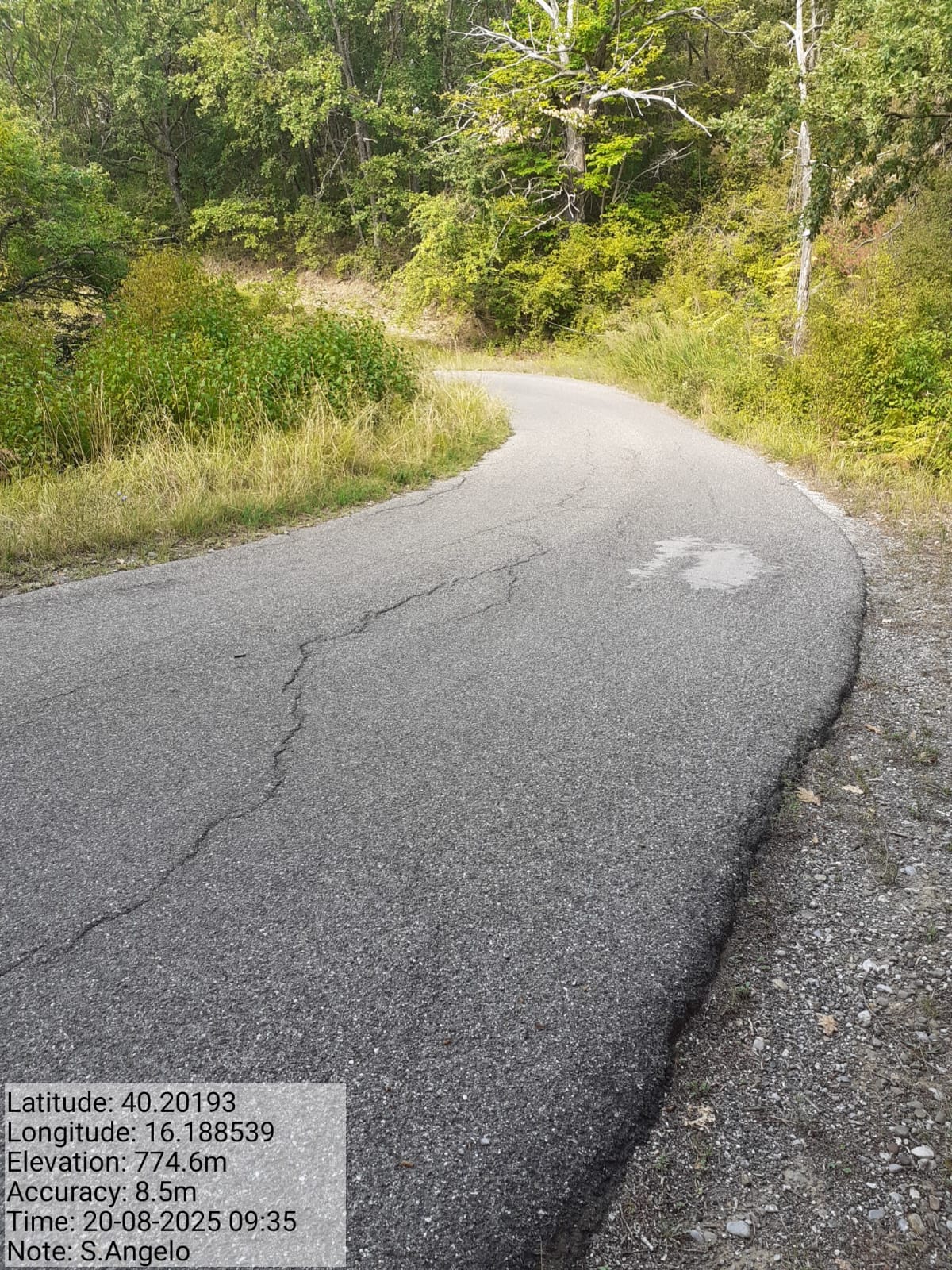 Galleria Fotografica Immagine