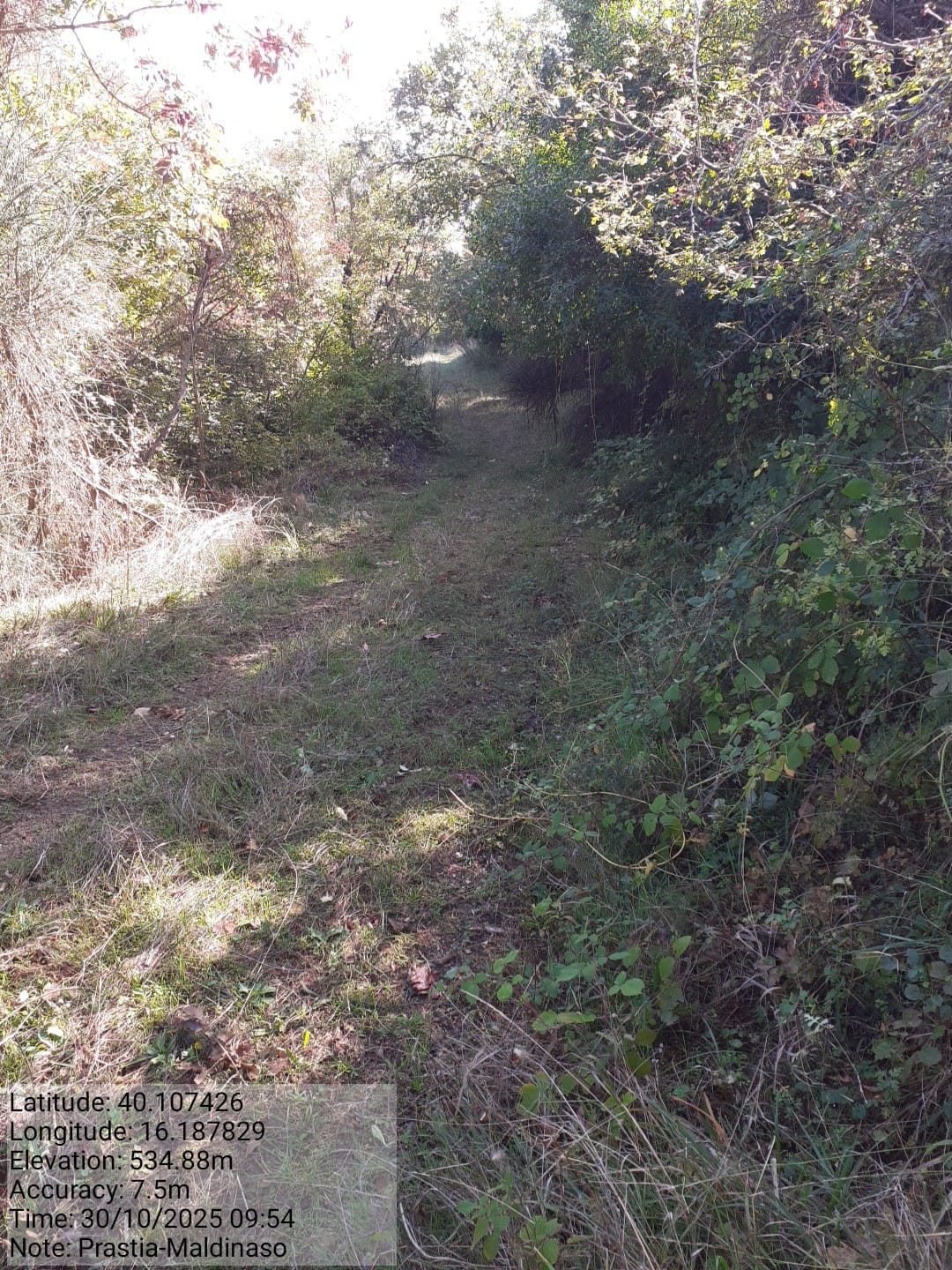 Galleria Fotografica Immagine