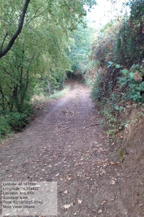 Galleria Fotografica Immagine