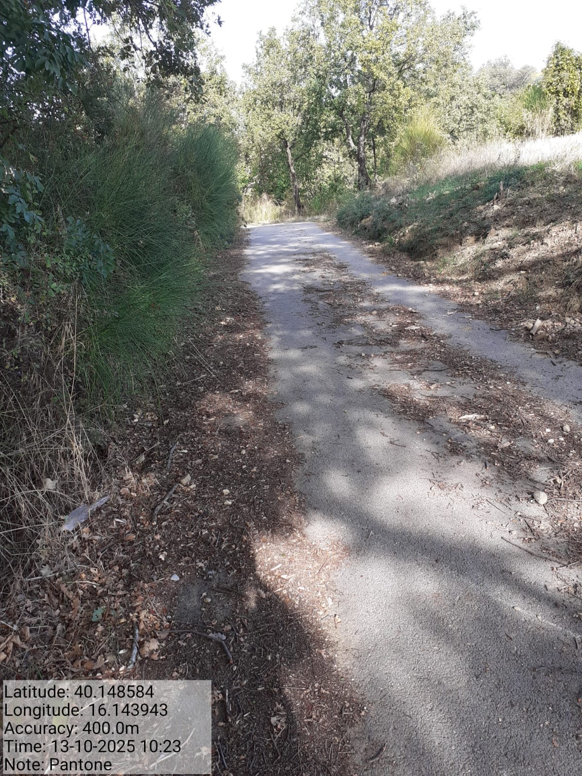 Galleria Fotografica Immagine