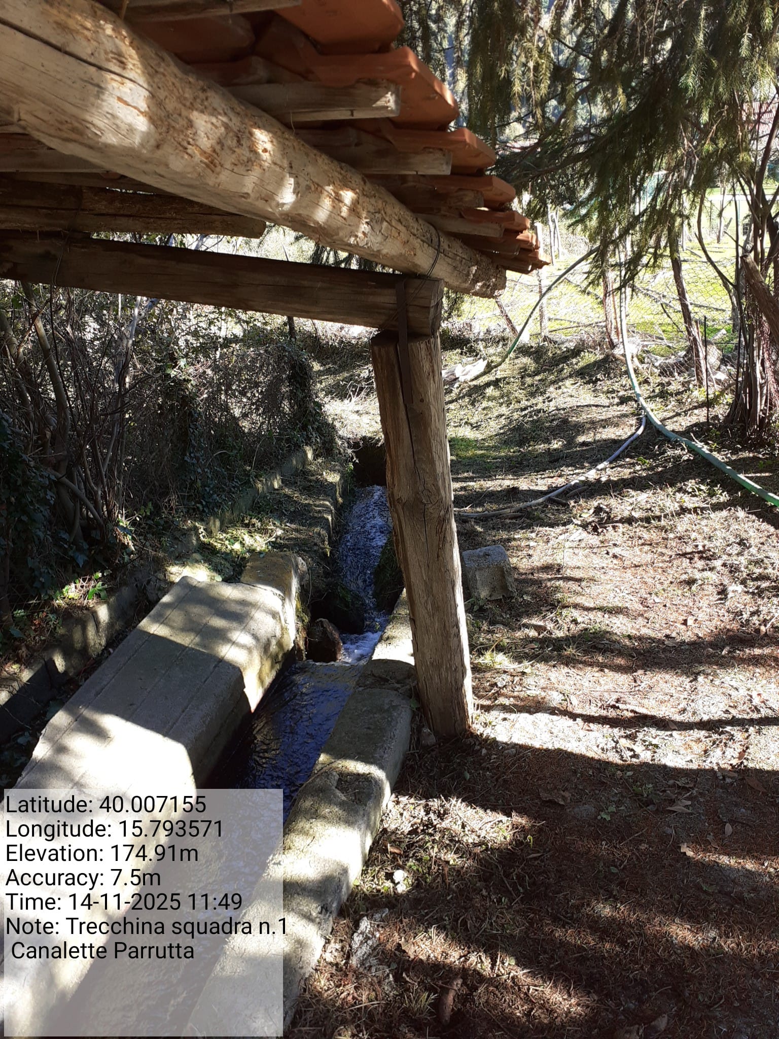 Galleria Fotografica Immagine