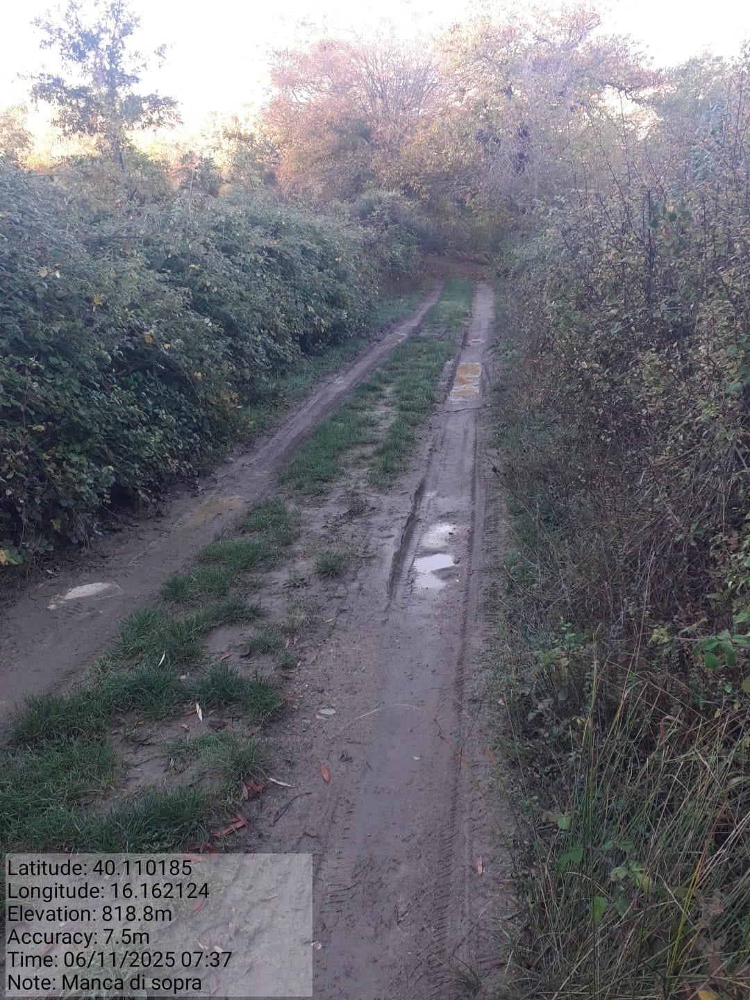 Galleria Fotografica Immagine