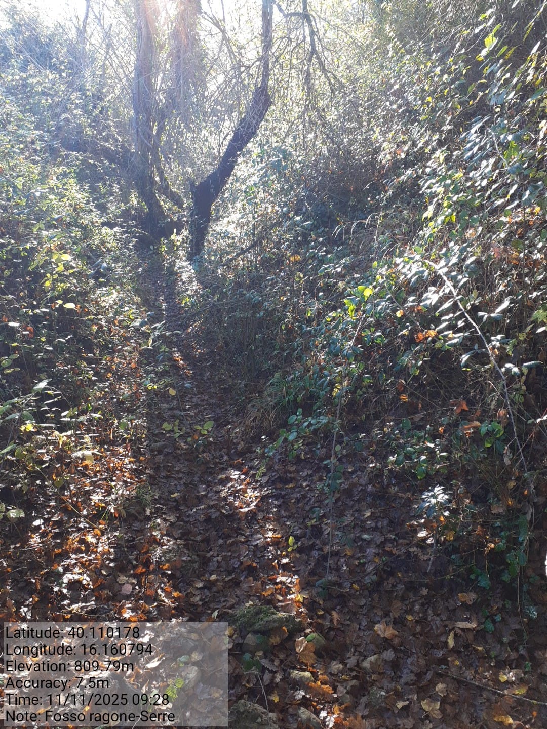 Galleria Fotografica Immagine