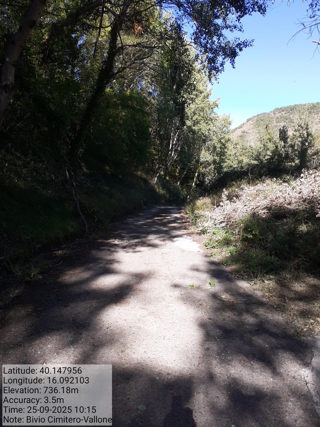 Galleria Fotografica Immagine