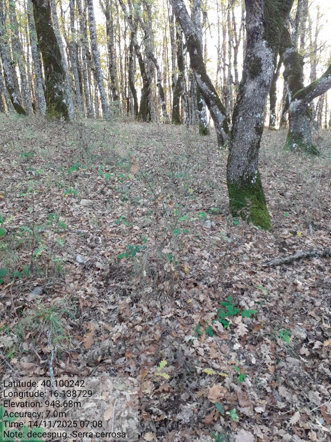 Galleria Fotografica Immagine