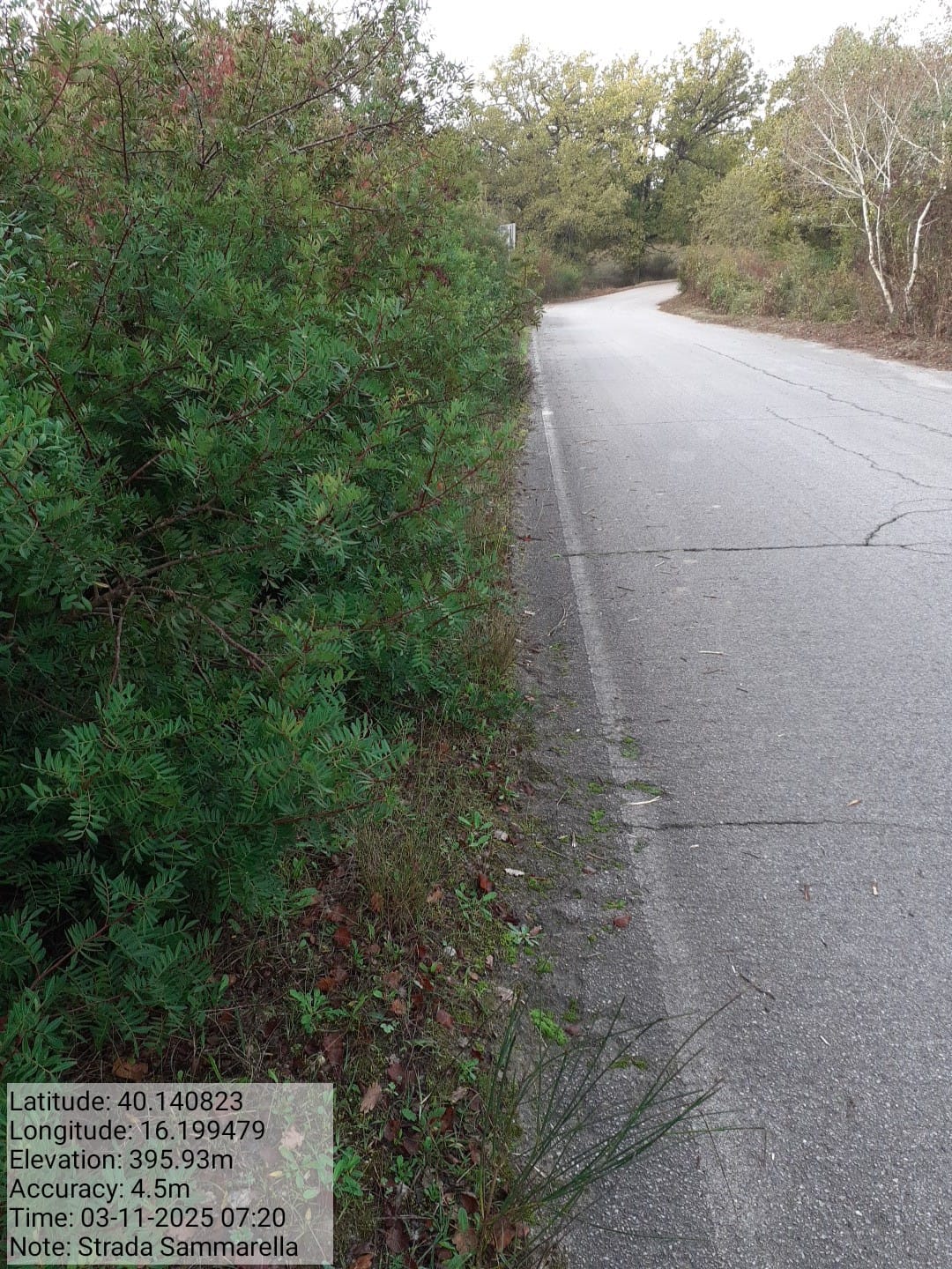 Galleria Fotografica Immagine