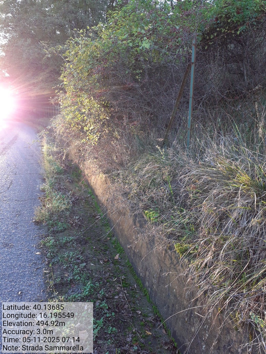 Galleria Fotografica Immagine