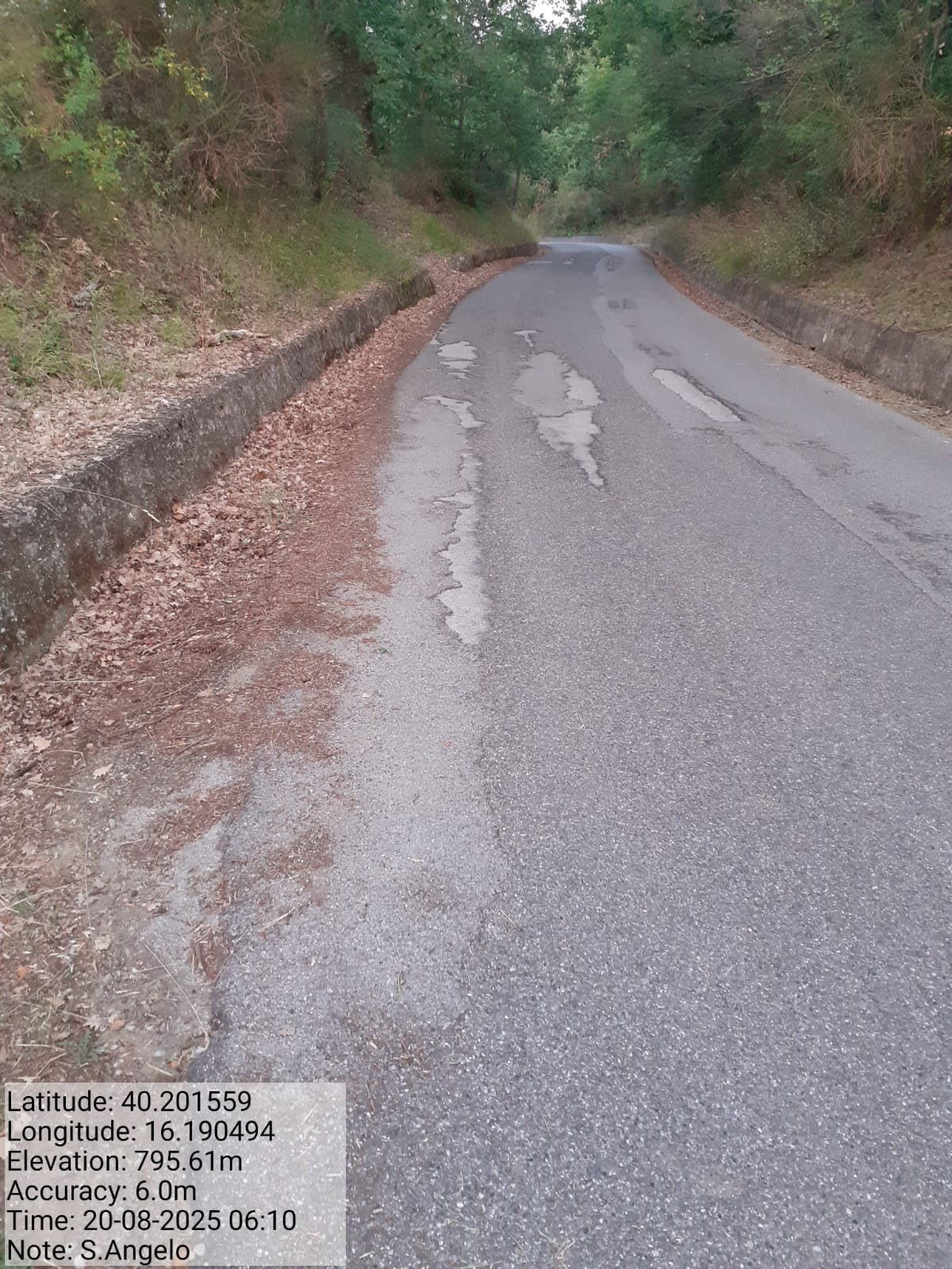 Galleria Fotografica Immagine