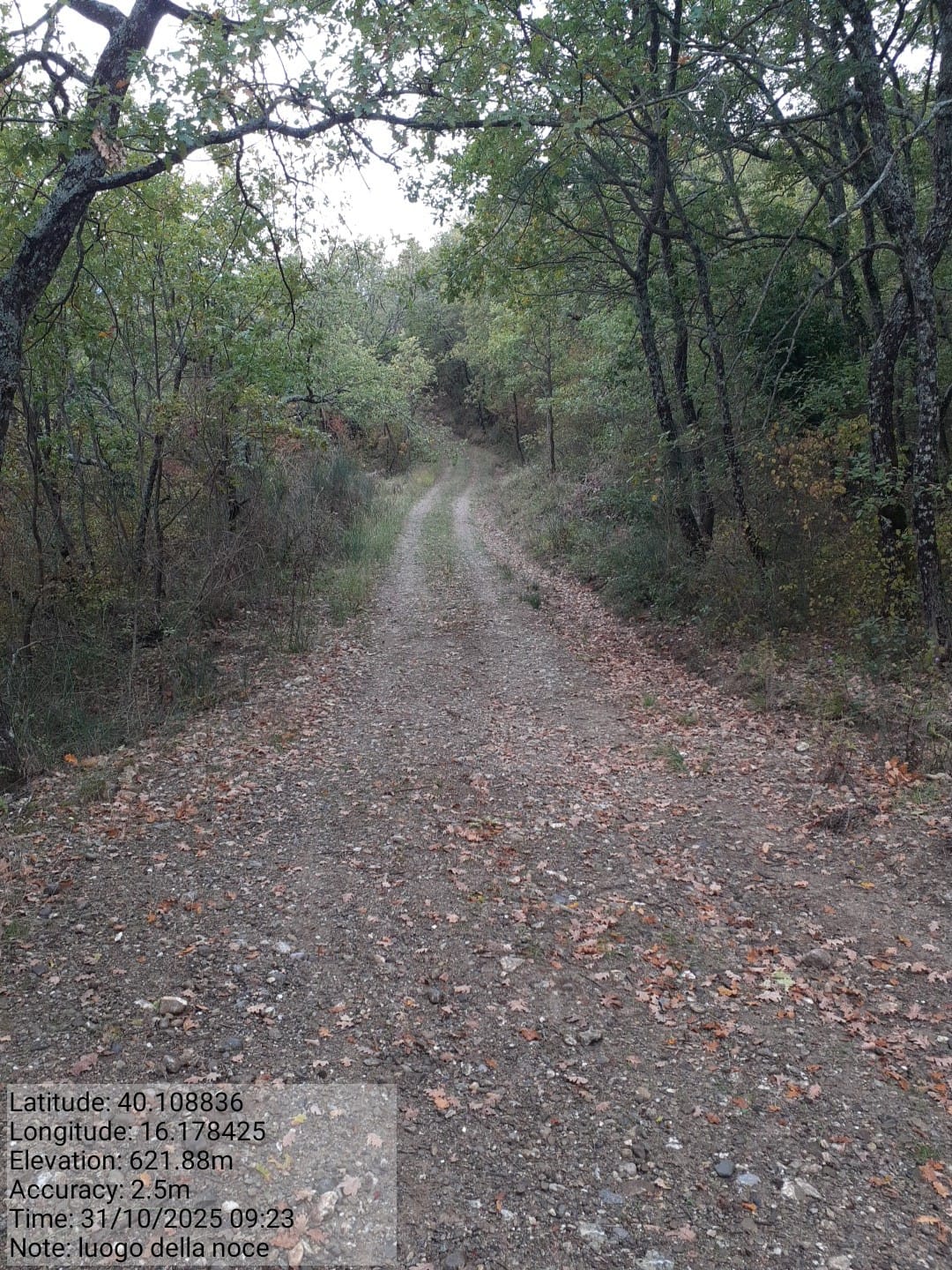 Galleria Fotografica Immagine