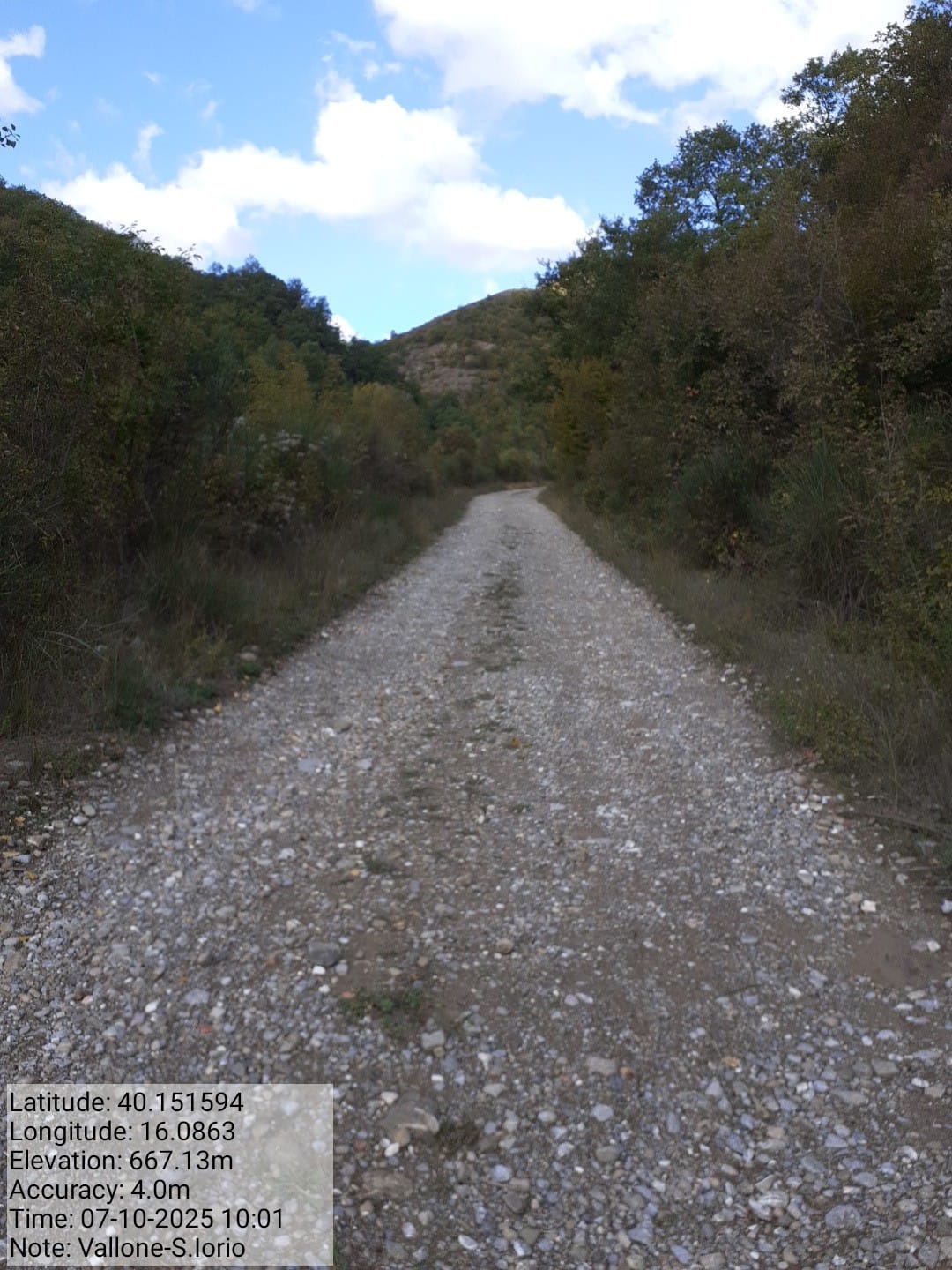 Galleria Fotografica Immagine