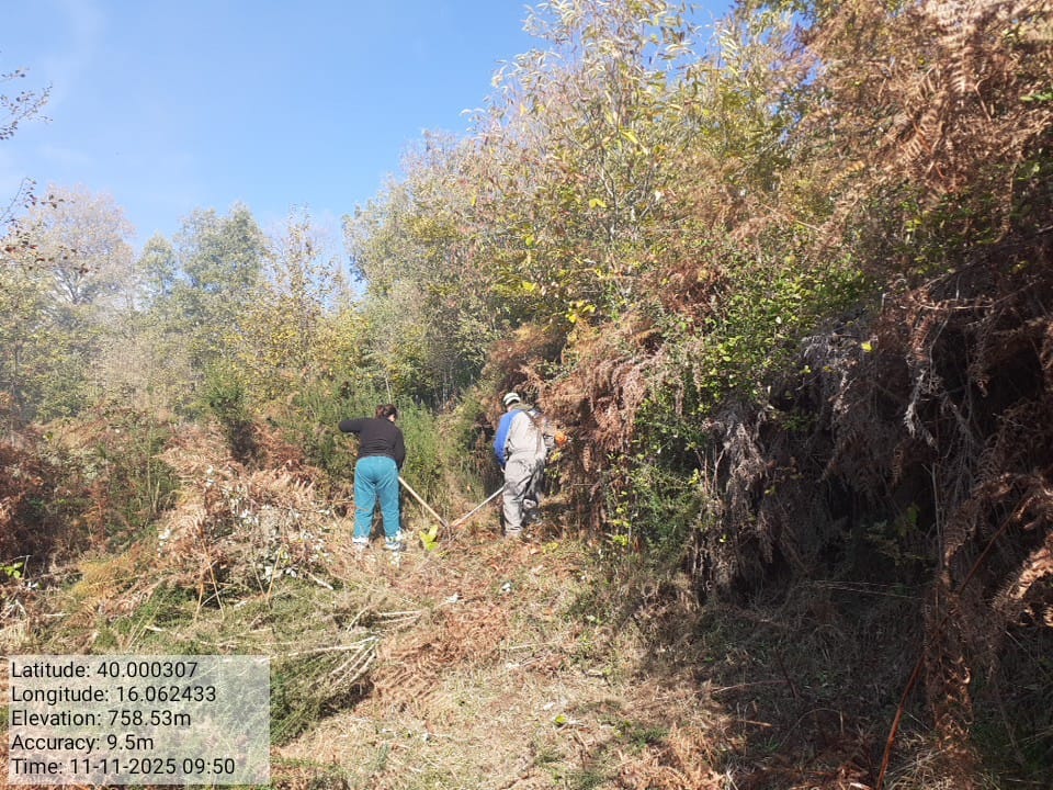 Galleria Fotografica Immagine