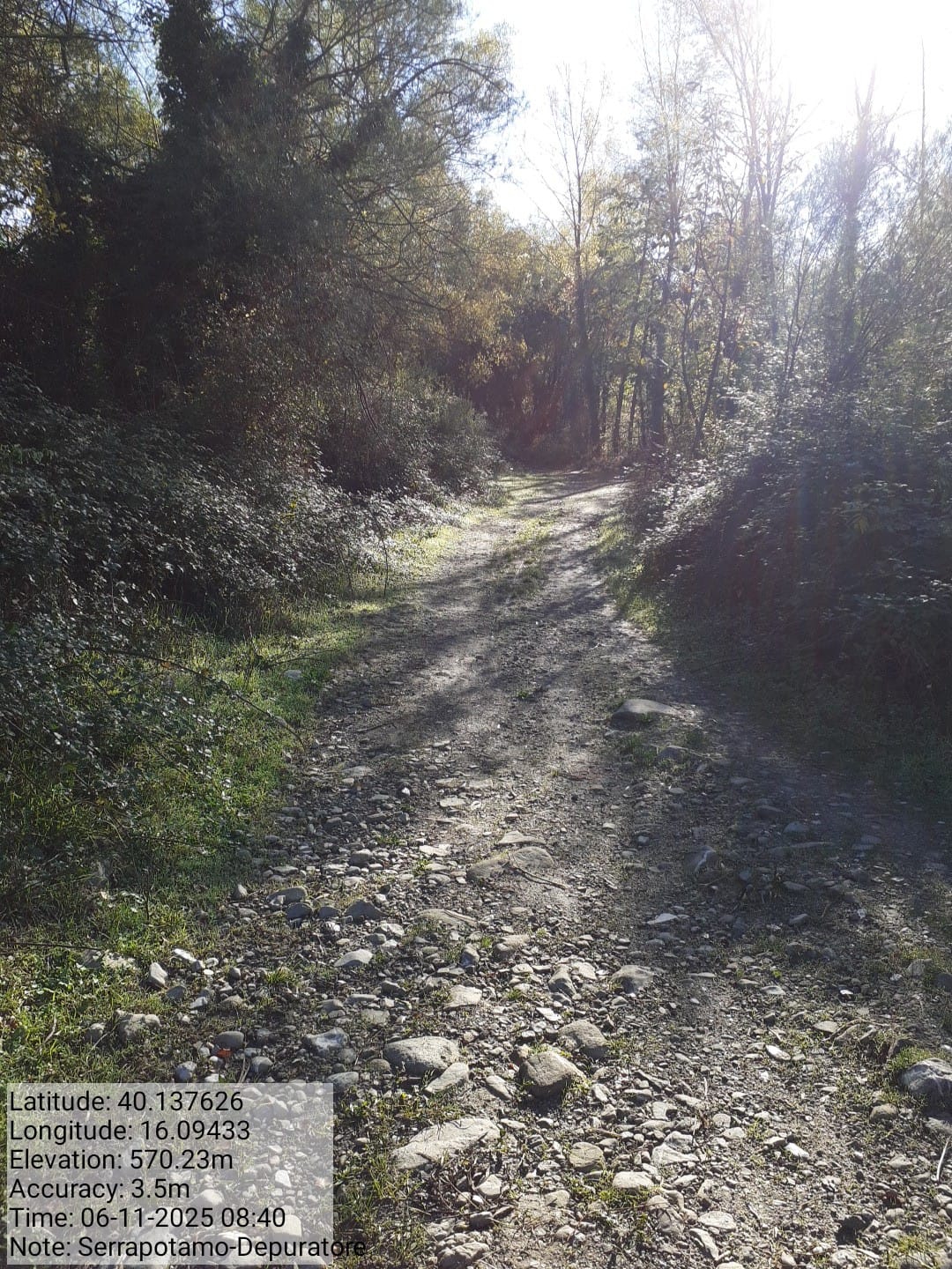 Galleria Fotografica Immagine