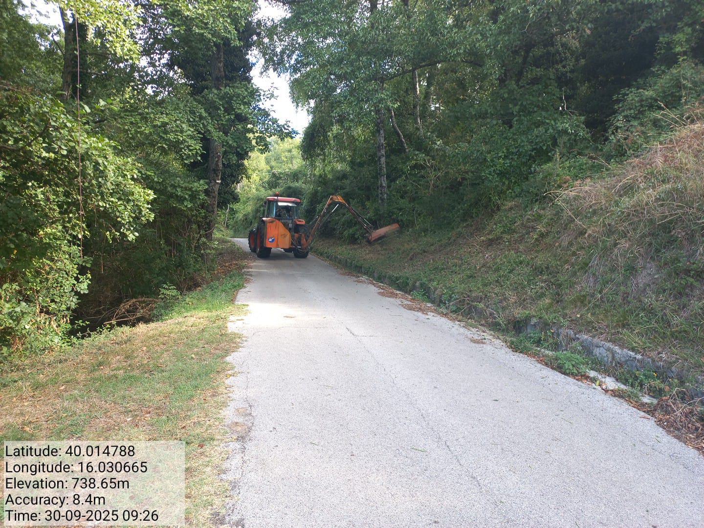 Galleria Fotografica Immagine