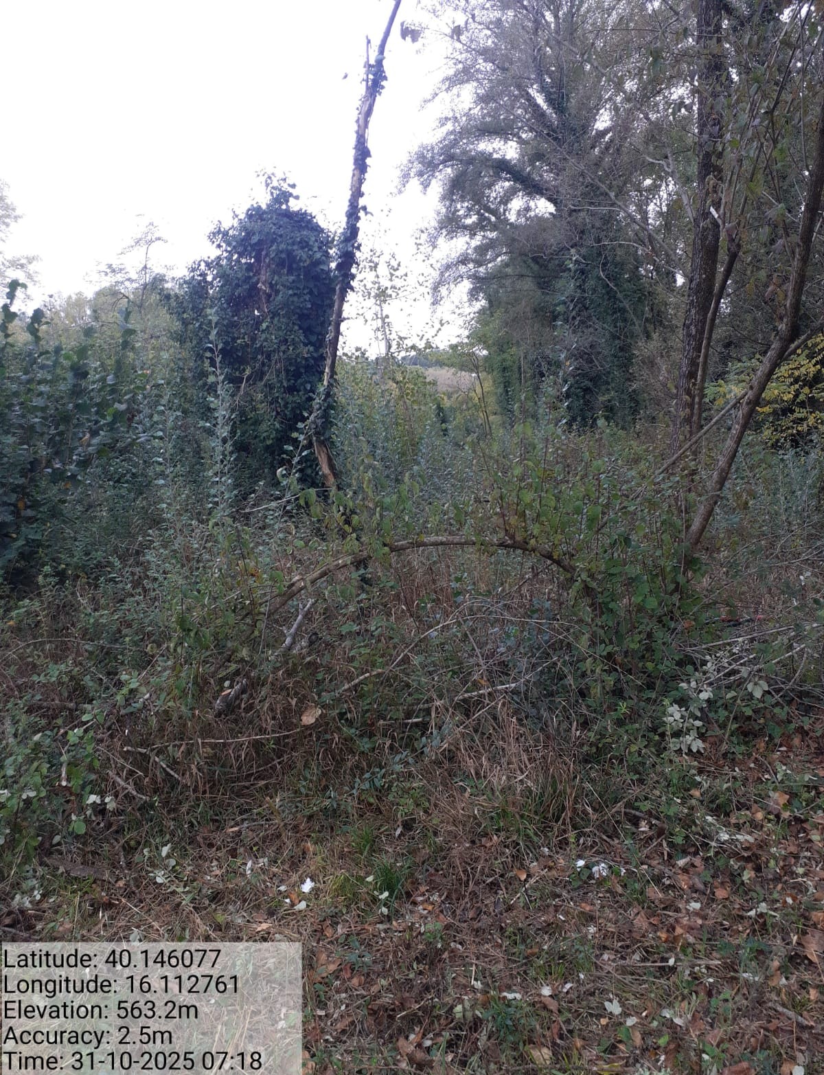 Galleria Fotografica Immagine