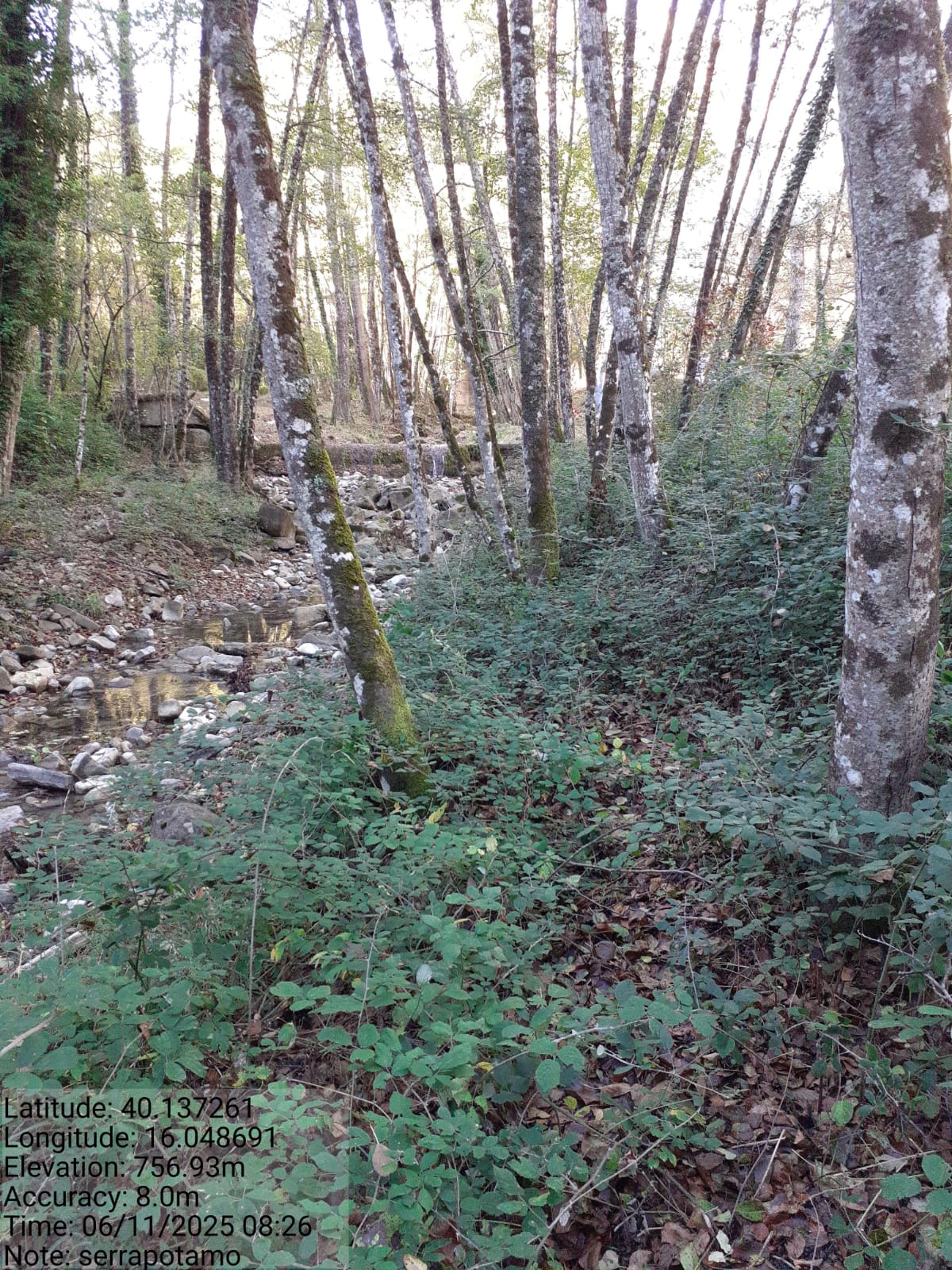 Galleria Fotografica Immagine