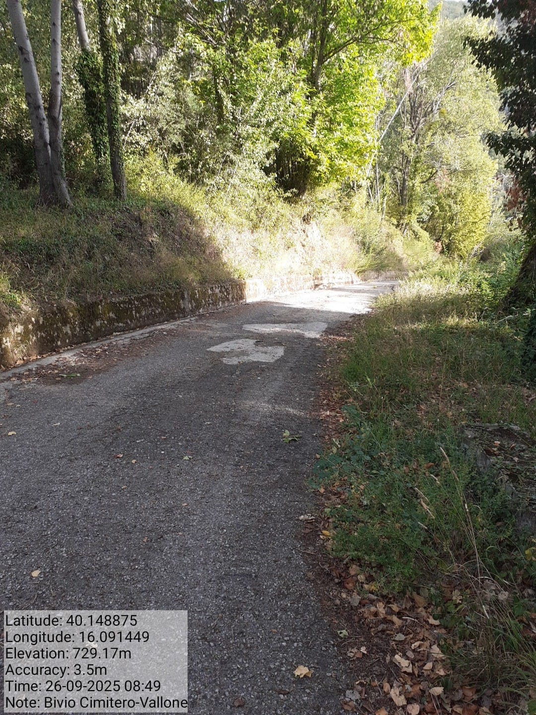 Galleria Fotografica Immagine