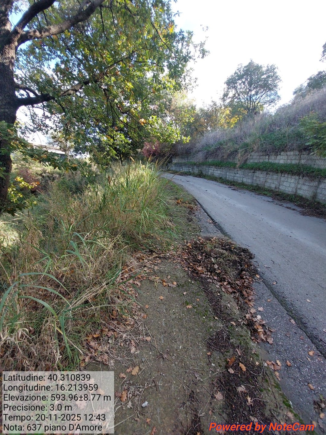 Galleria Fotografica Immagine