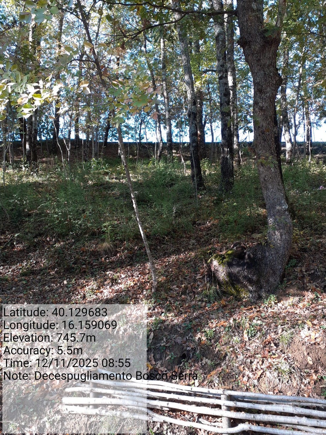 Galleria Fotografica Immagine