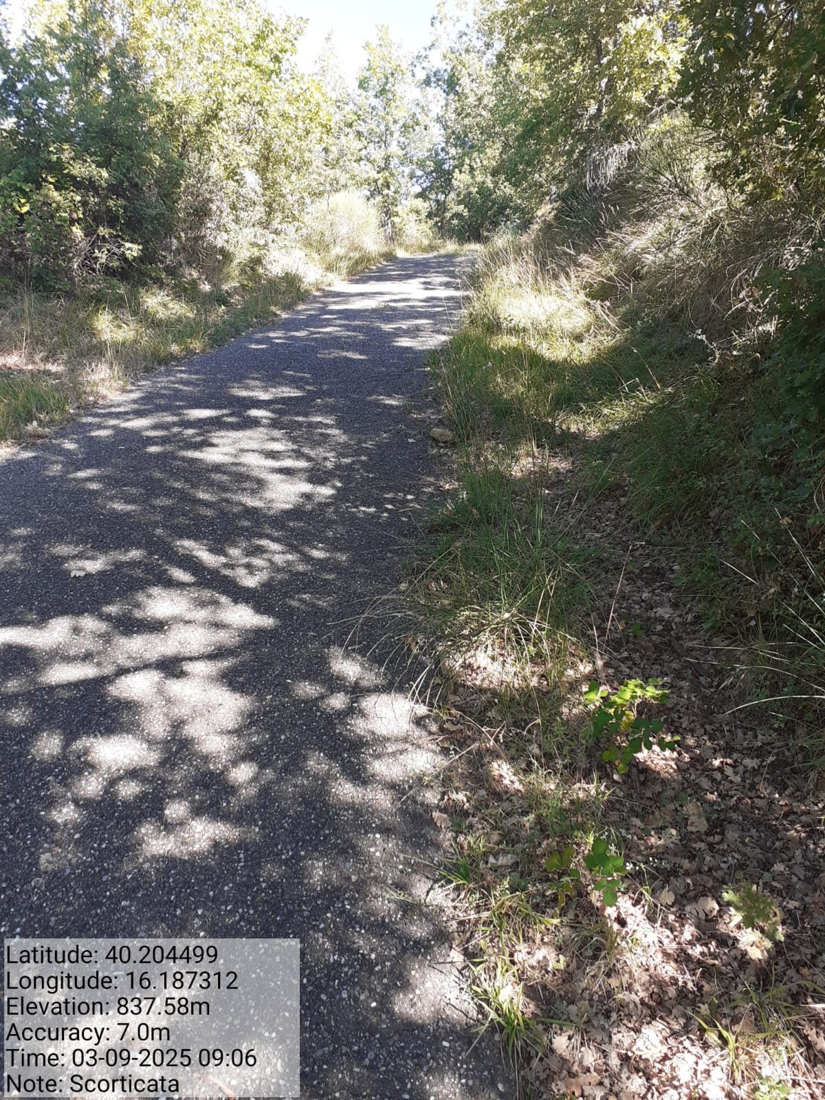 Galleria Fotografica Immagine