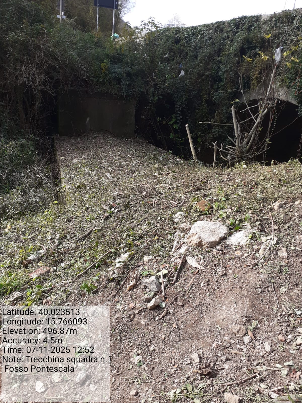 Galleria Fotografica Immagine