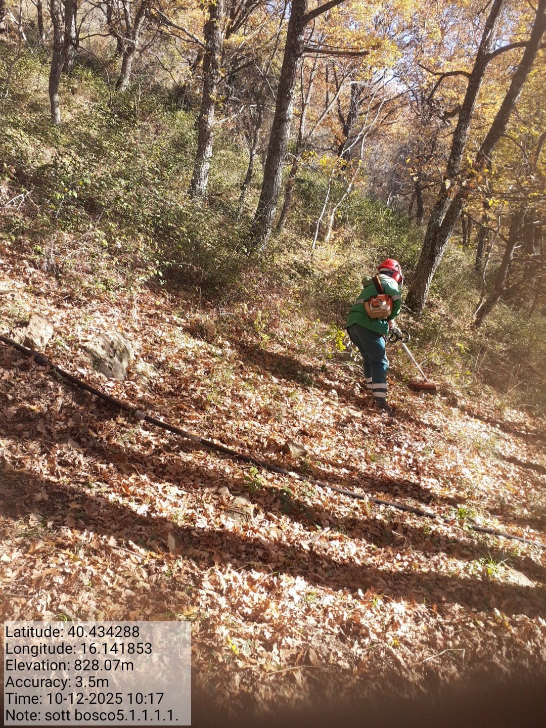 Galleria Fotografica Immagine