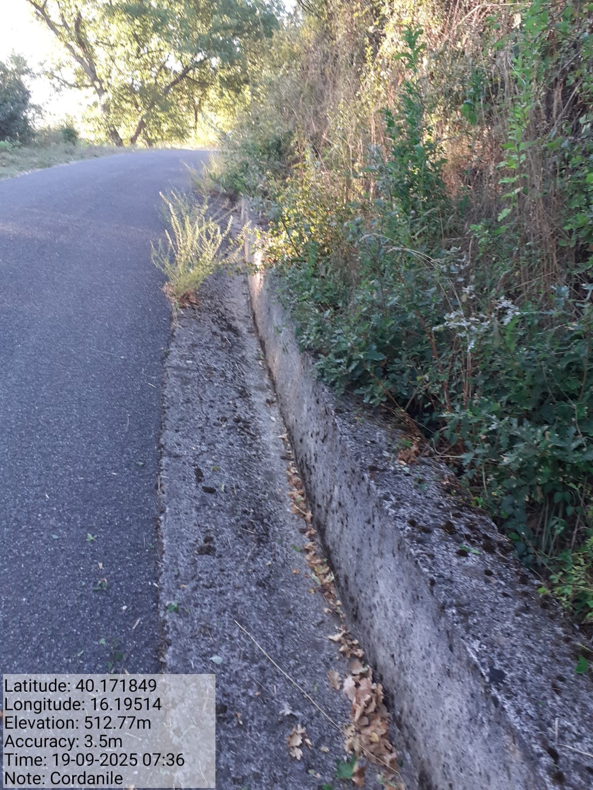 Galleria Fotografica Immagine