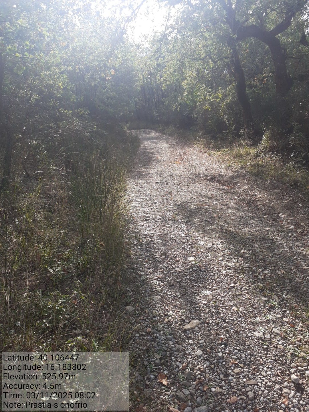 Galleria Fotografica Immagine