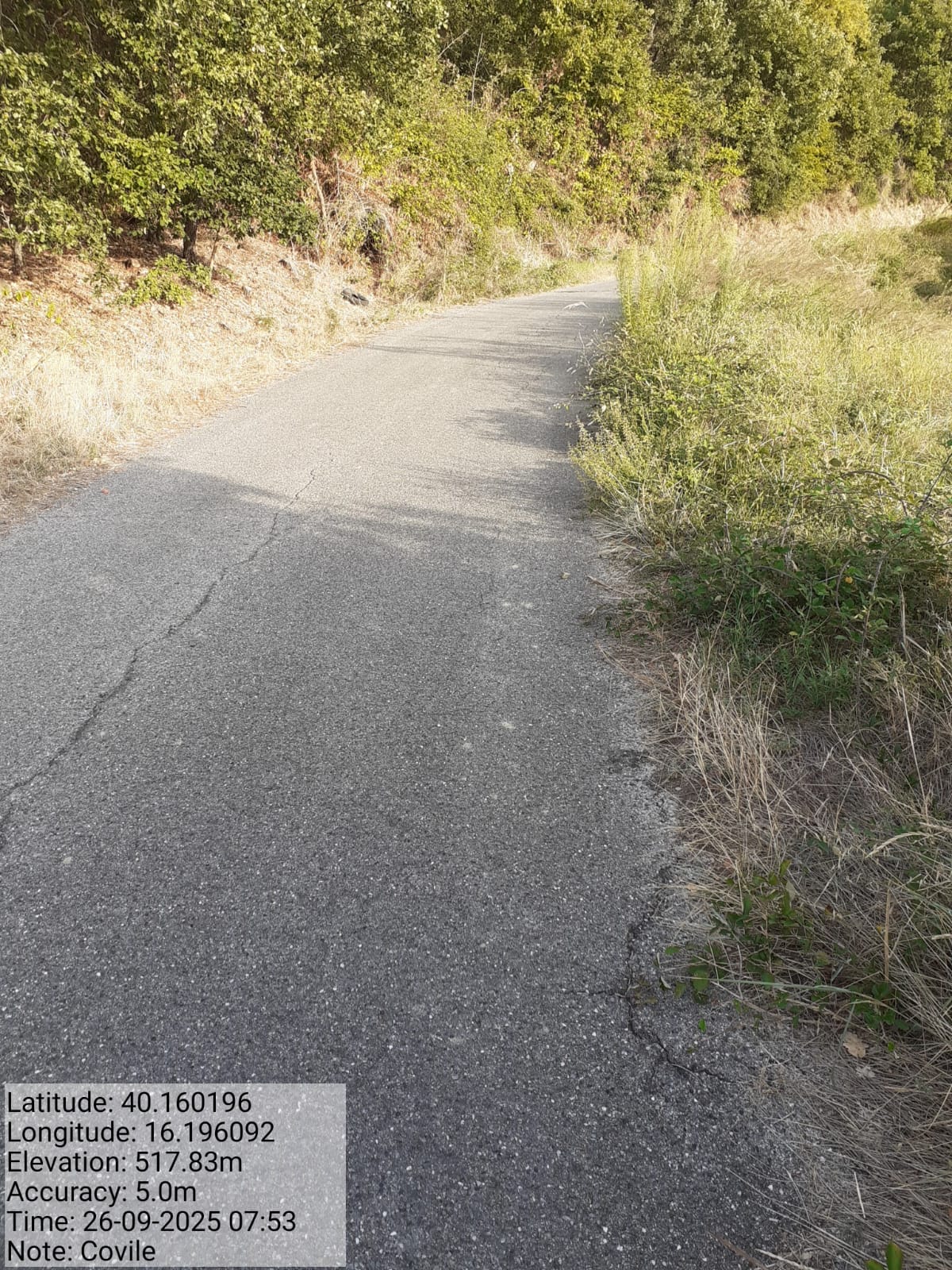 Galleria Fotografica Immagine