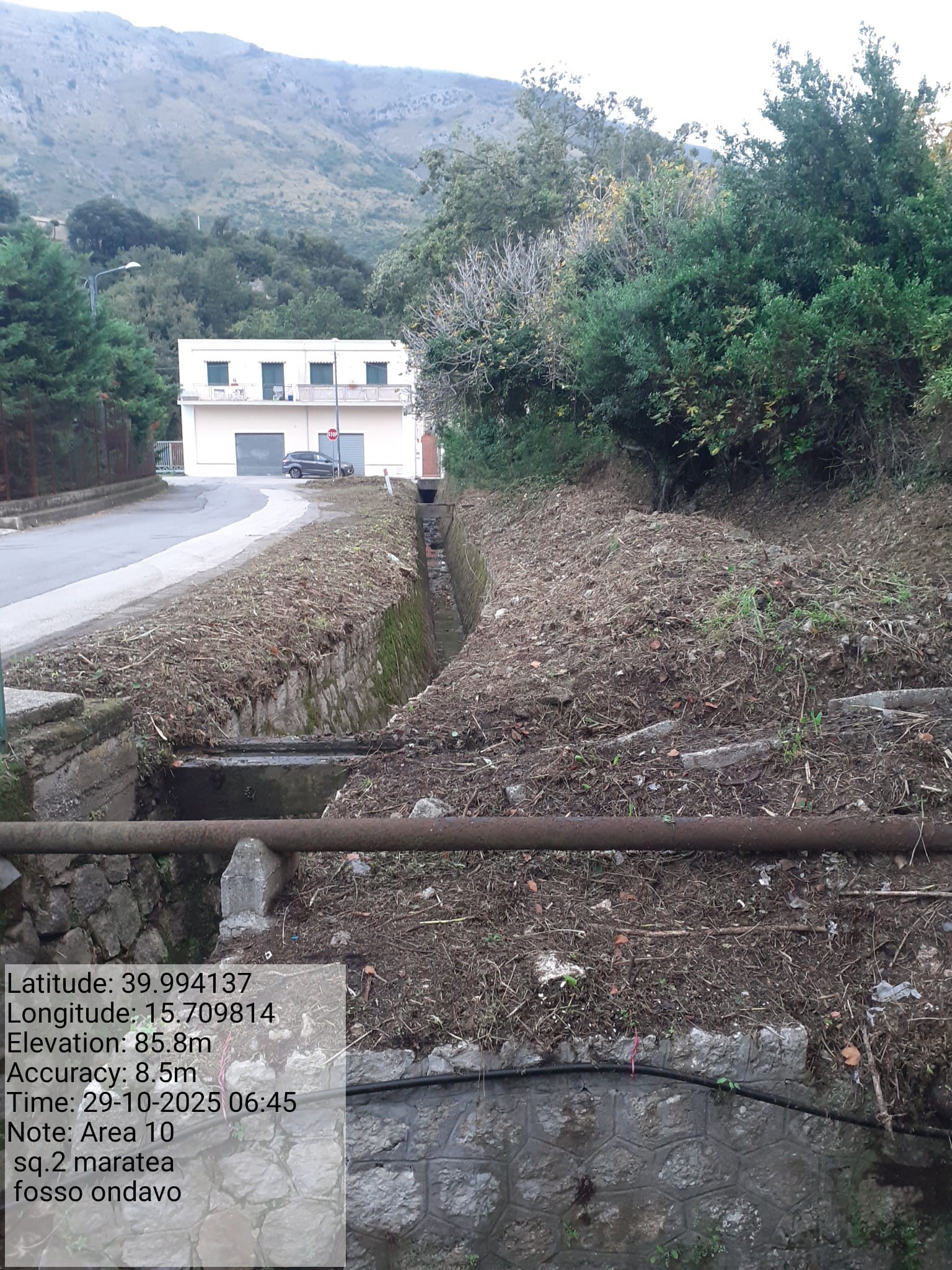 Galleria Fotografica Immagine