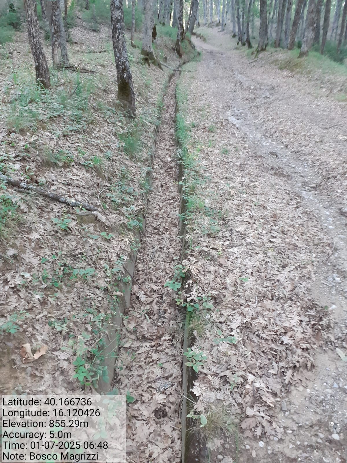 Galleria Fotografica Immagine