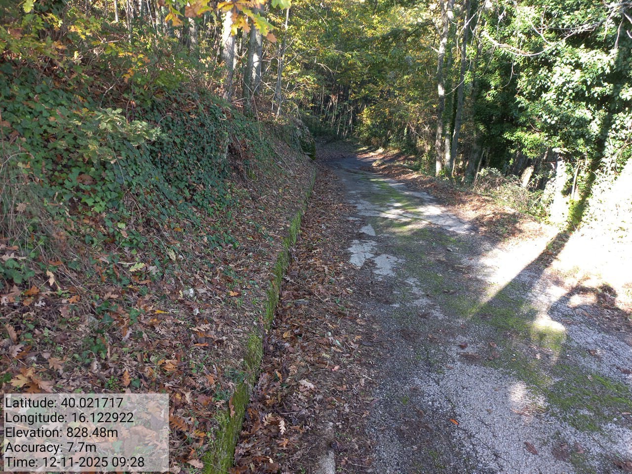 Galleria Fotografica Immagine