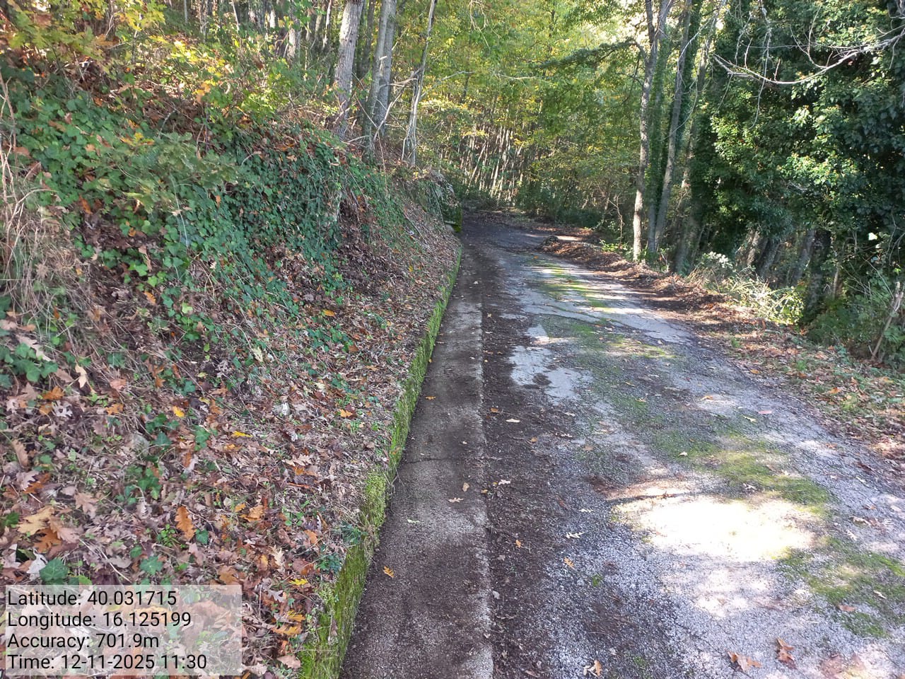 Galleria Fotografica Immagine