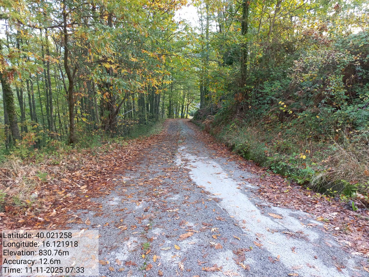 Galleria Fotografica Immagine