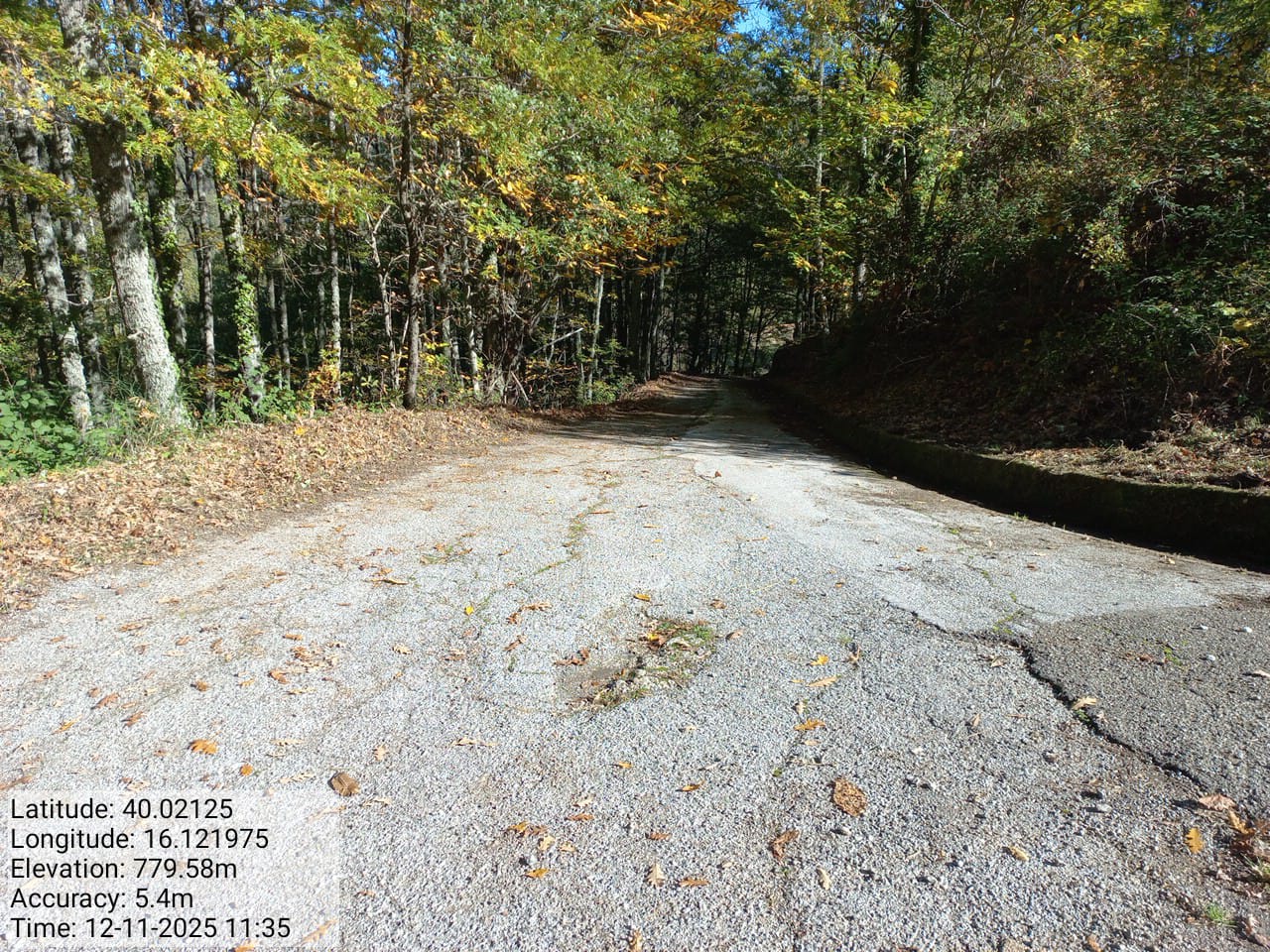 Galleria Fotografica Immagine