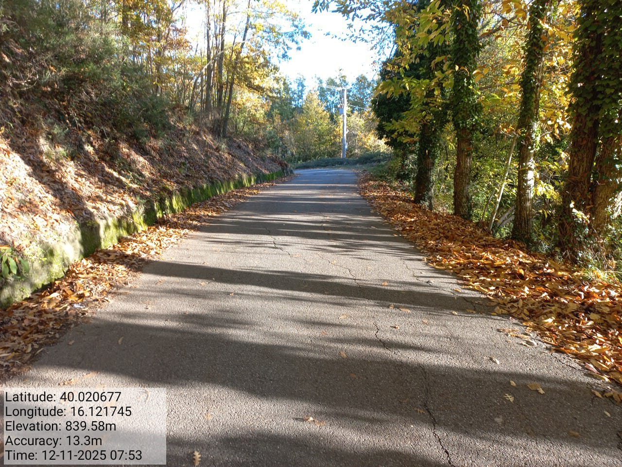 Galleria Fotografica Immagine