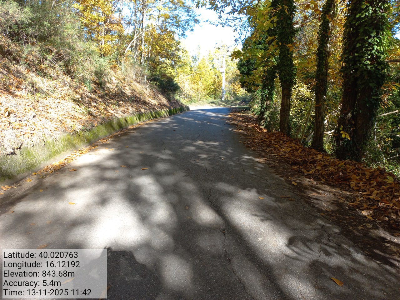 Galleria Fotografica Immagine