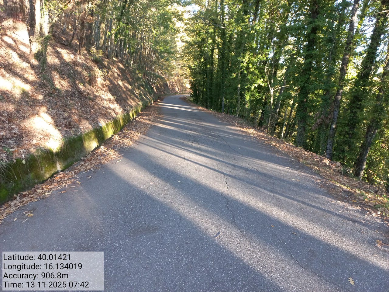 Galleria Fotografica Immagine