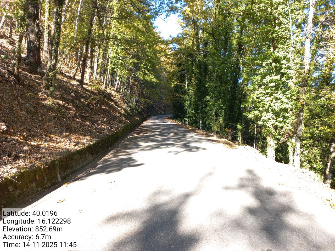 Galleria Fotografica Immagine