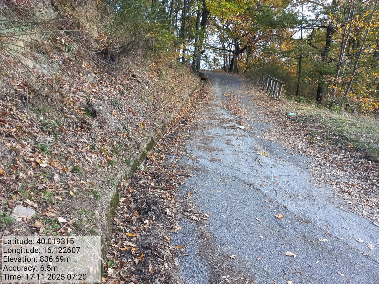 Galleria Fotografica Immagine