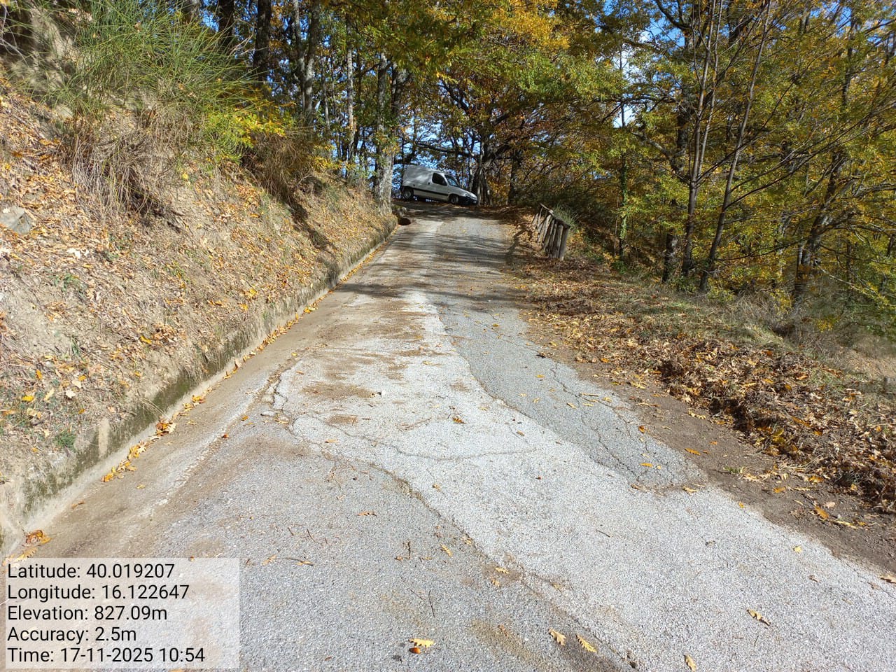 Galleria Fotografica Immagine