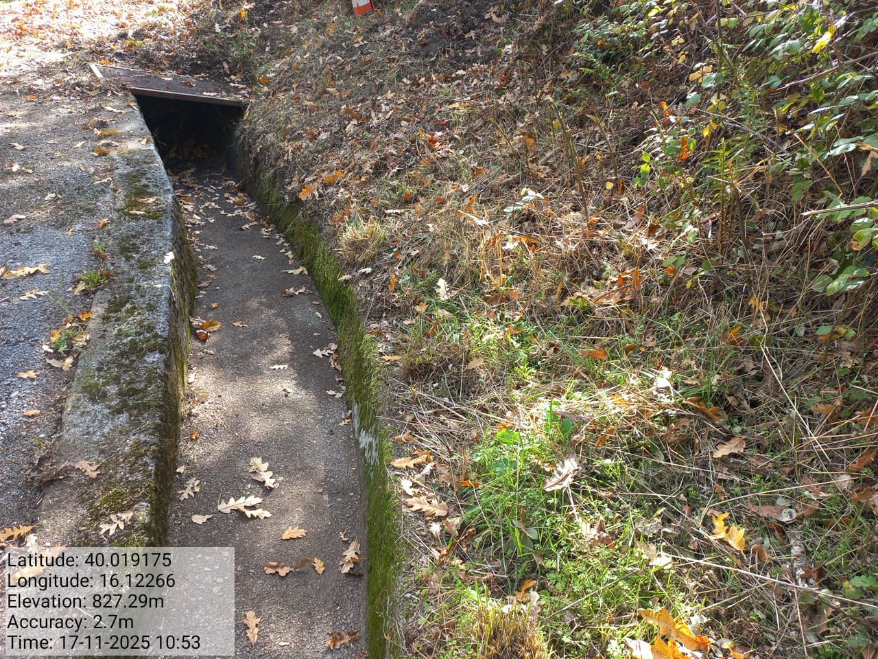 Galleria Fotografica Immagine