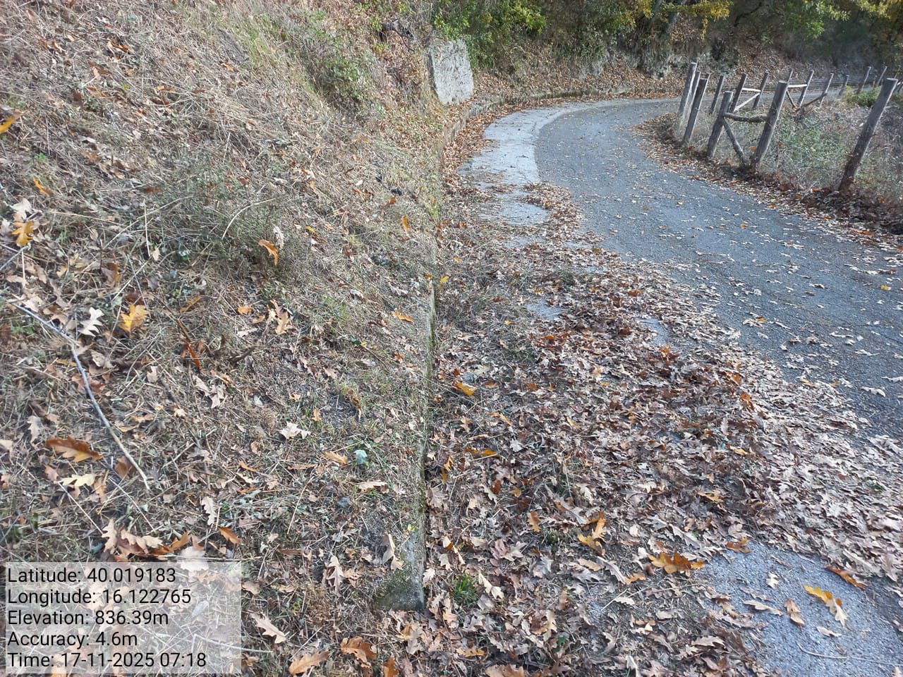 Galleria Fotografica Immagine