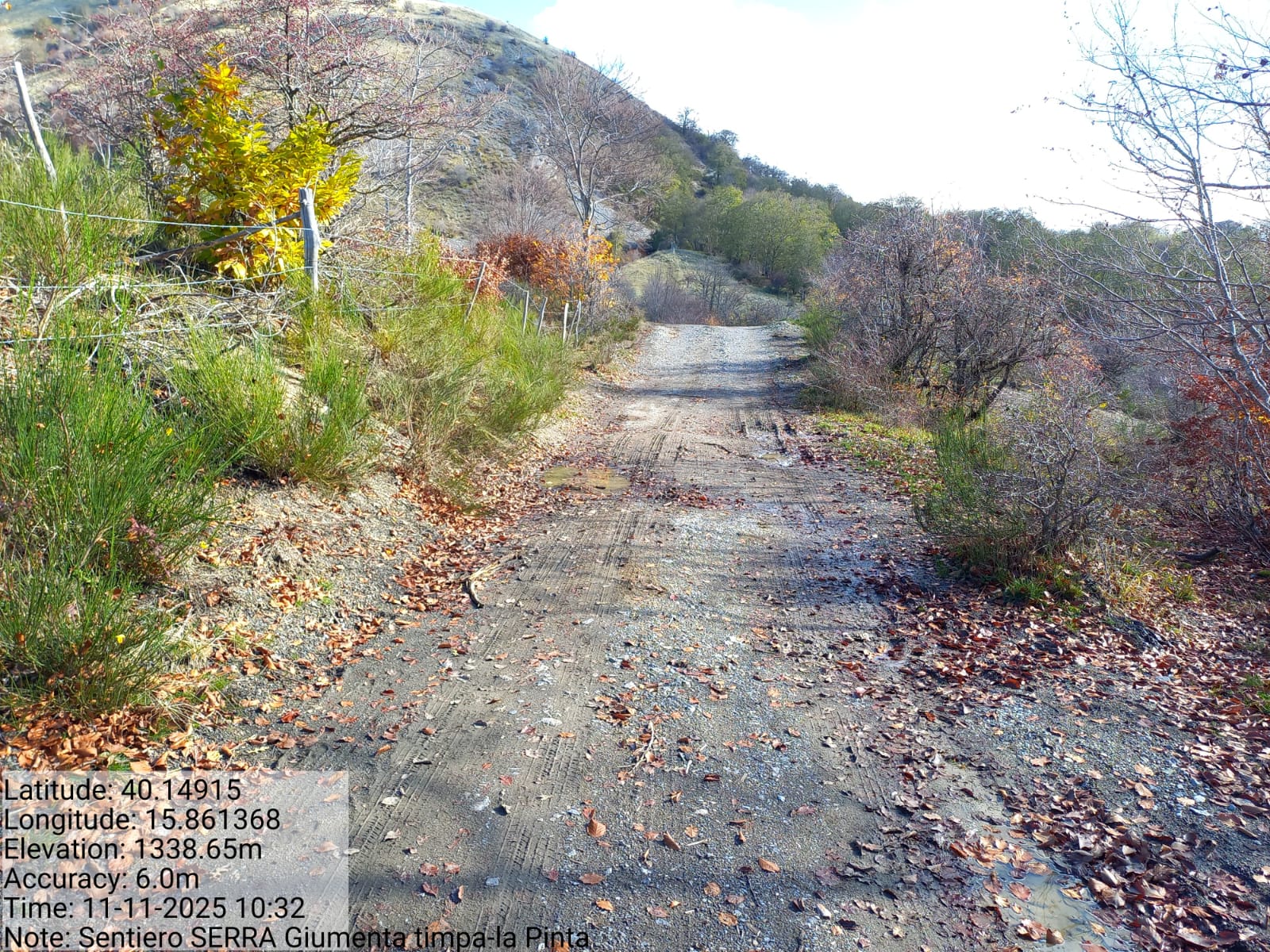 Galleria Fotografica Immagine