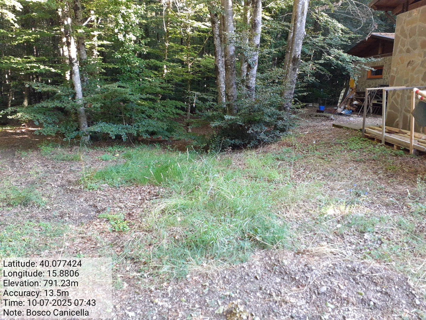 Galleria Fotografica Immagine