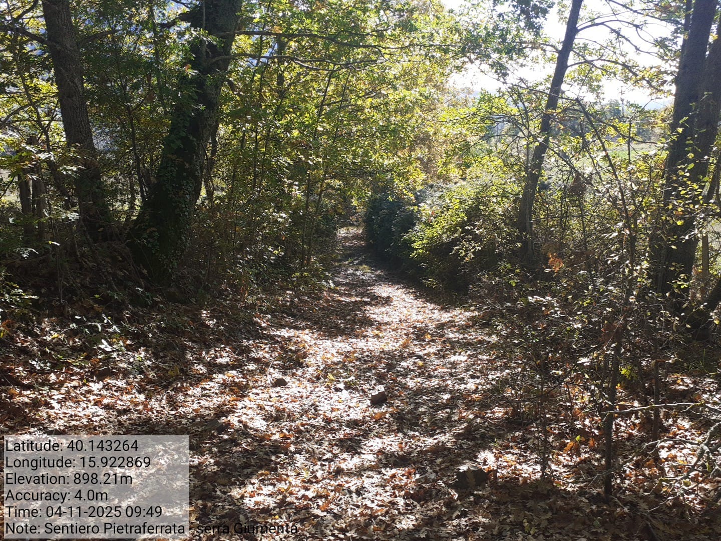 Galleria Fotografica Immagine