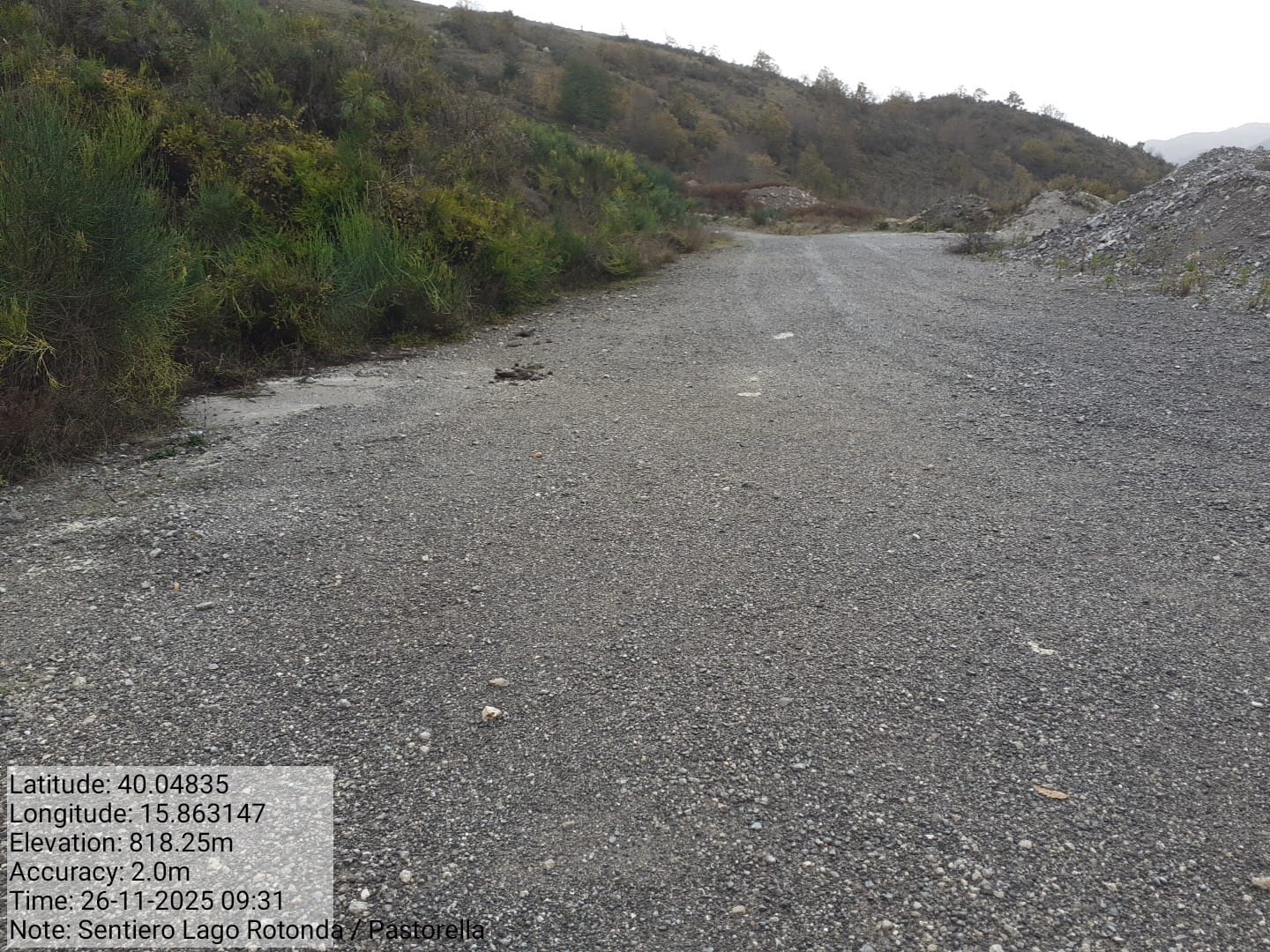 Galleria Fotografica Immagine