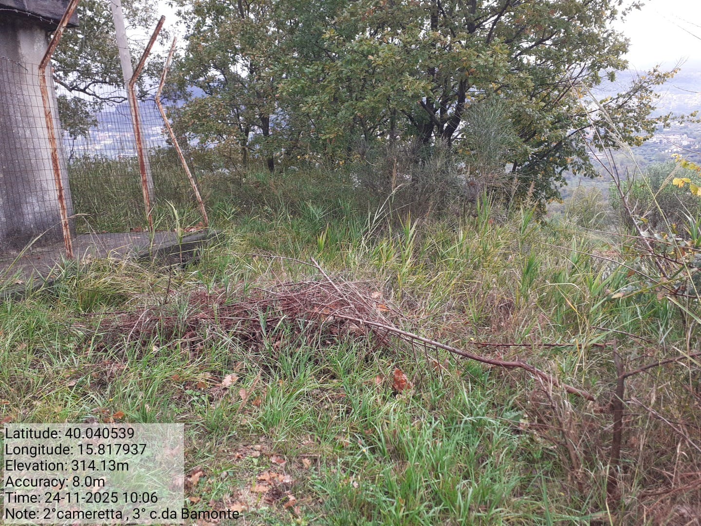 Galleria Fotografica Immagine