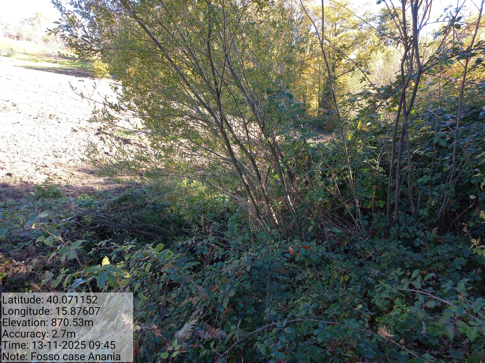 Galleria Fotografica Immagine